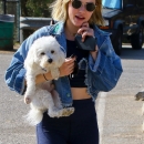 dogpark201118-048.jpg