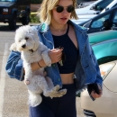 dogpark201118-049.jpg