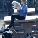 dogpark201118-053.jpg