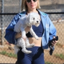 dogpark201118-059.jpg