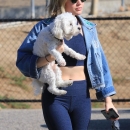 dogpark201118-062.jpg