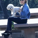 dogpark201118-068.jpg