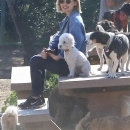 dogpark201118-070.jpg