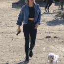 dogpark201118-074.jpg