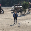 dogpark201118-075.jpg