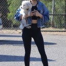 dogpark201118-080.jpg