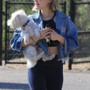dogpark201118-081.jpg