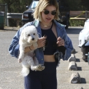 dogpark201118-090.jpg