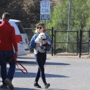 dogpark201118-104.jpg