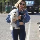 dogpark201118-117.jpg