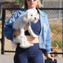 dogpark201118-118.jpg