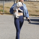 dogpark201118-126.jpg