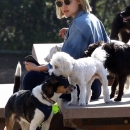 dogpark201118-129.jpg