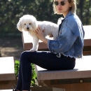 dogpark201118-130.jpg