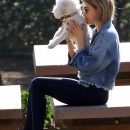 dogpark201118-132.jpg