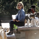 dogpark201118-134.jpg