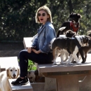 dogpark201118-135.jpg