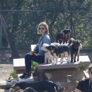 dogpark201118-136.jpg
