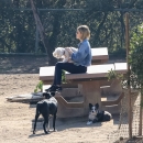 dogpark201118-138.jpg