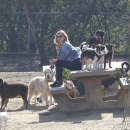 dogpark201118-140.jpg