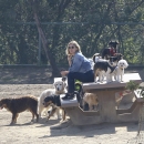 dogpark201118-142.jpg