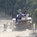 dogpark201118-143.jpg