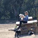 dogpark201118-145.jpg