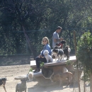 dogpark201118-146.jpg