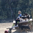 dogpark201118-147.jpg