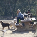 dogpark201118-149.jpg