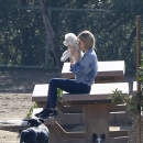 dogpark201118-15.jpg