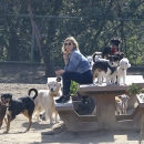 dogpark201118-151.jpg