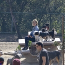 dogpark201118-152.jpg