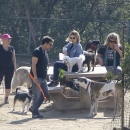 dogpark201118-153.jpg