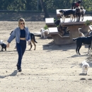 dogpark201118-154.jpg