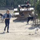 dogpark201118-156.jpg