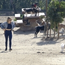 dogpark201118-157.jpg