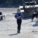 dogpark201118-158.jpg
