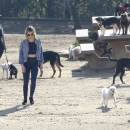 dogpark201118-162.jpg