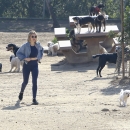 dogpark201118-163.jpg