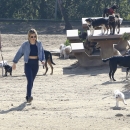 dogpark201118-164.jpg