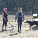 dogpark201118-165.jpg