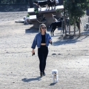 dogpark201118-167.jpg
