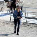 dogpark201118-169.jpg