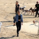 dogpark201118-177.jpg
