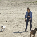 dogpark201118-180.jpg