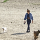 dogpark201118-184.jpg