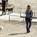 dogpark201118-189.jpg