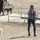 dogpark201118-193.jpg