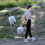 dogpark220325-002.jpg